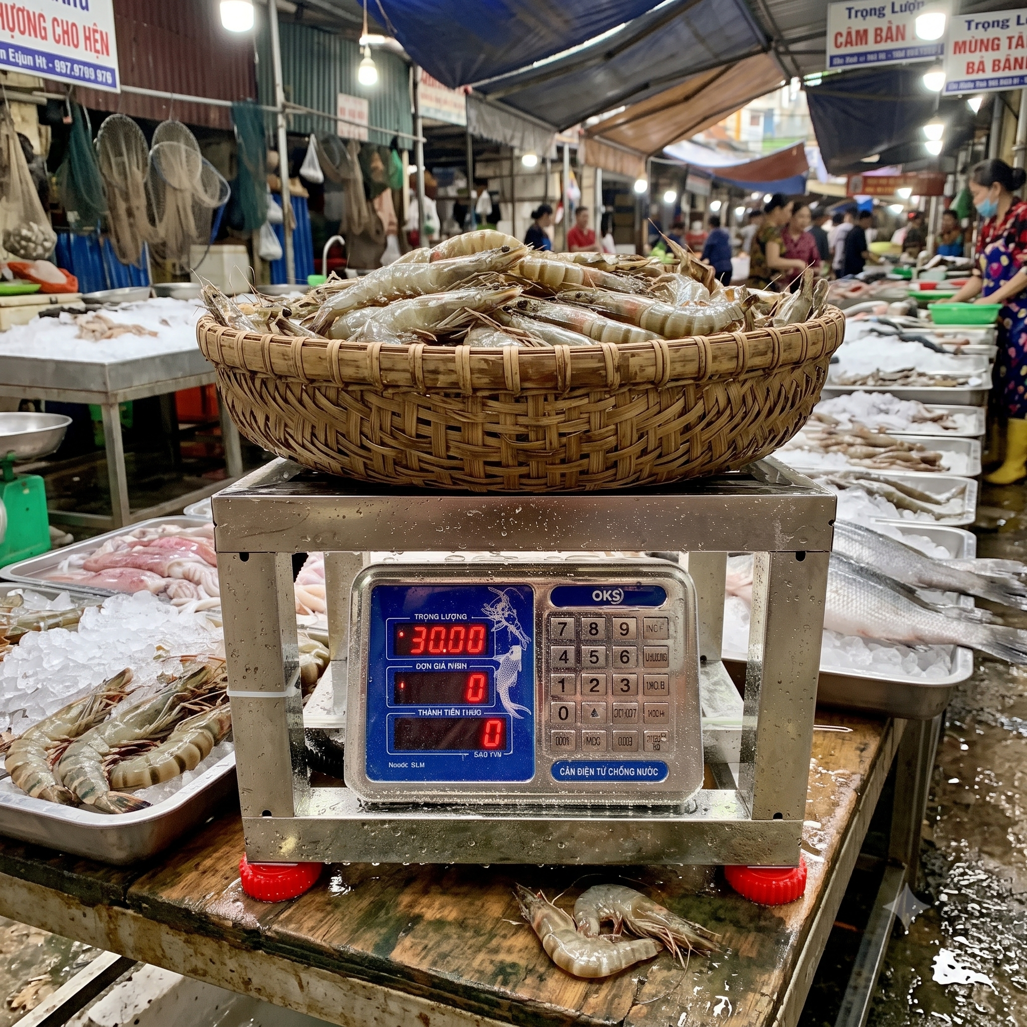 Cân ghế vuông inox cân hải sản 100kg
