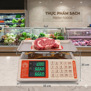 Cân điện tử bọc inox 30kg-60kg AS 888-B1
